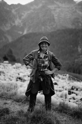 Shepherd – 23