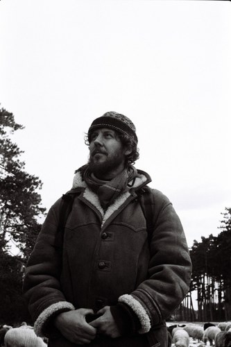 Shepherd – 3