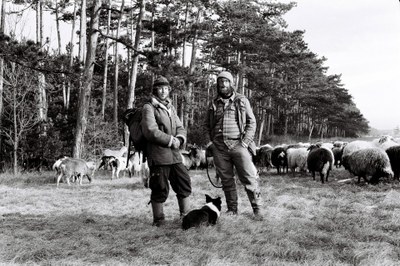 Shepherd – 7