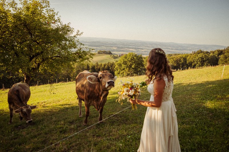Hochzeit – 4