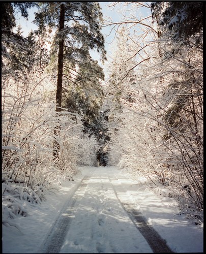 Landscape – 16
