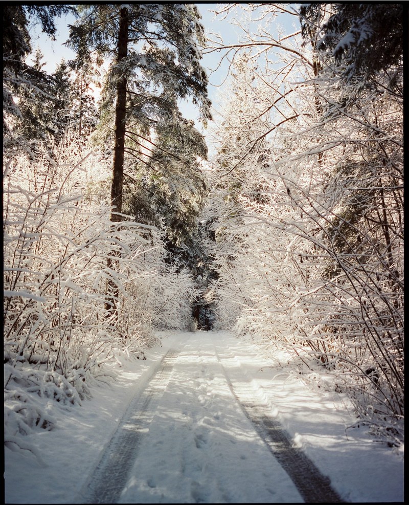 Landscape – 16