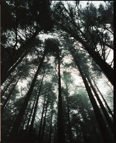 Landscape – 1