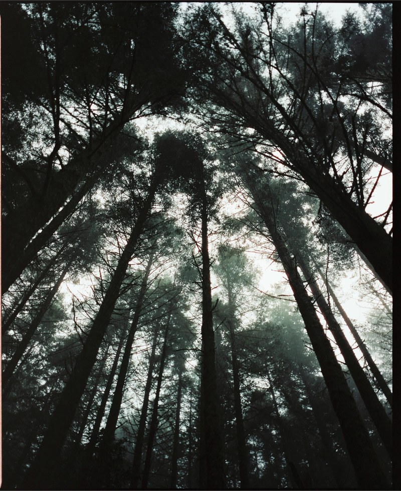 Landscape – 1