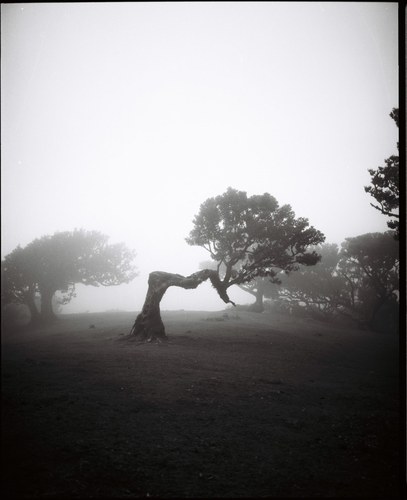 Landscape – 10