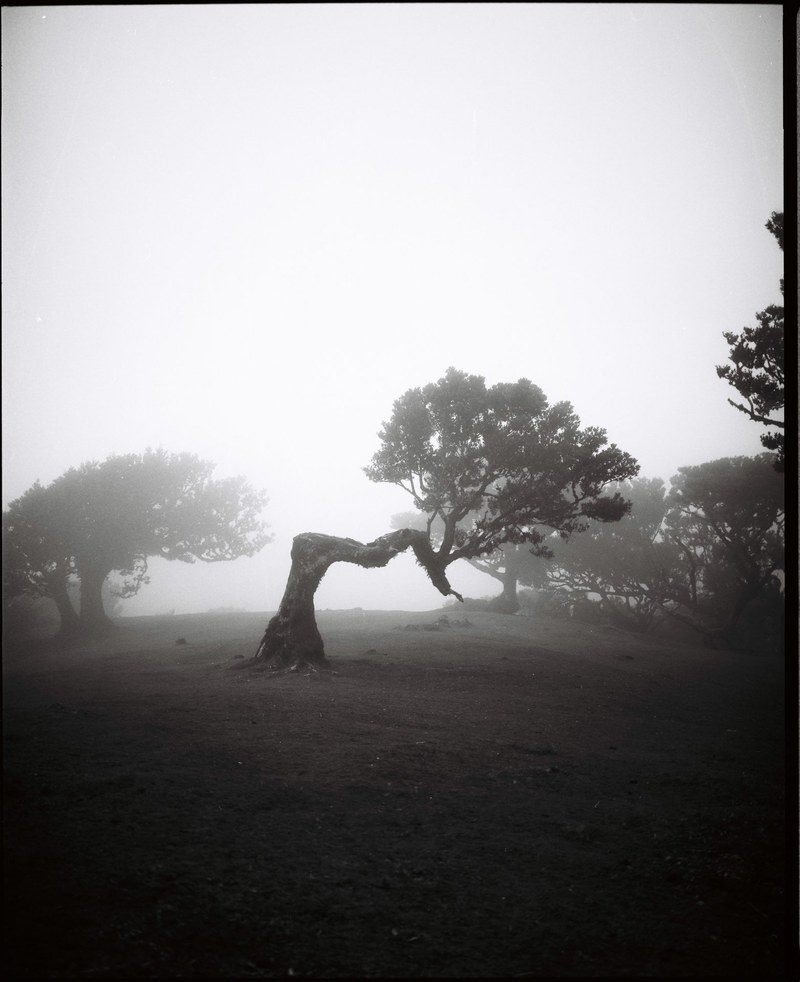 Landscape – 10