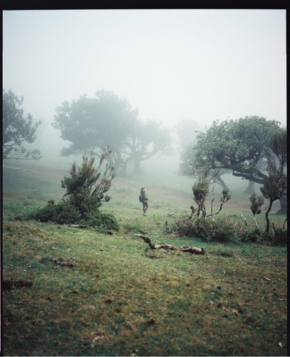 Landscape – 6