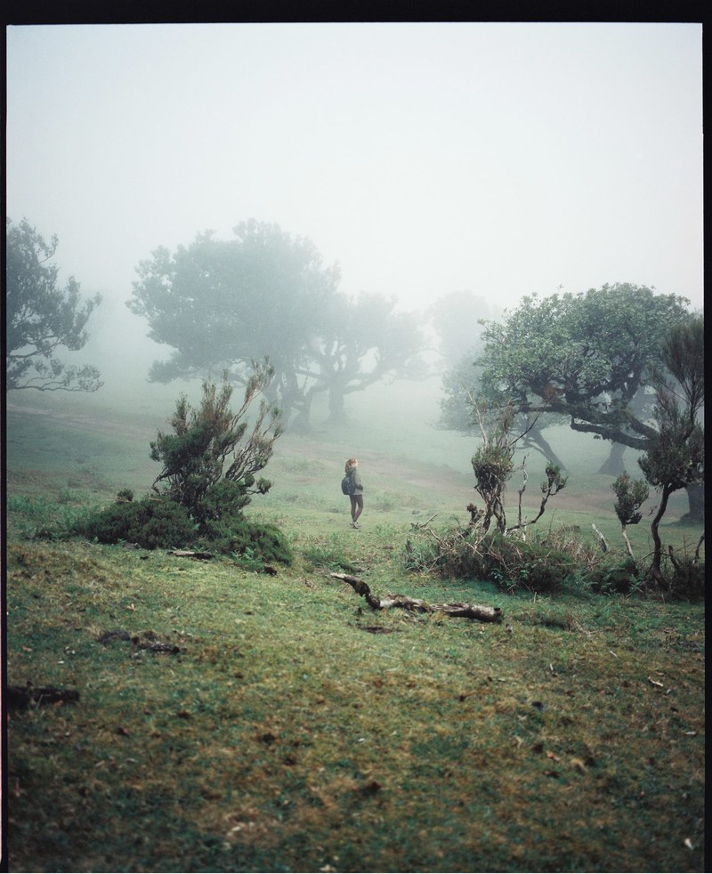 Landscape – 6