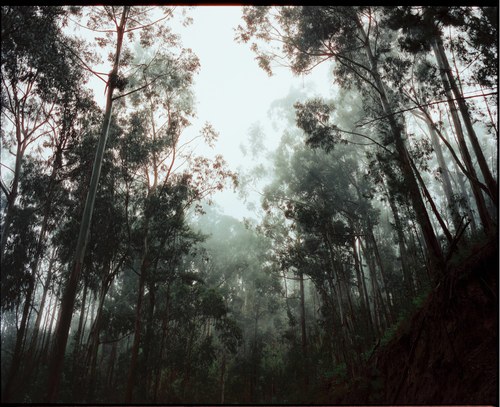 Landscape – 8