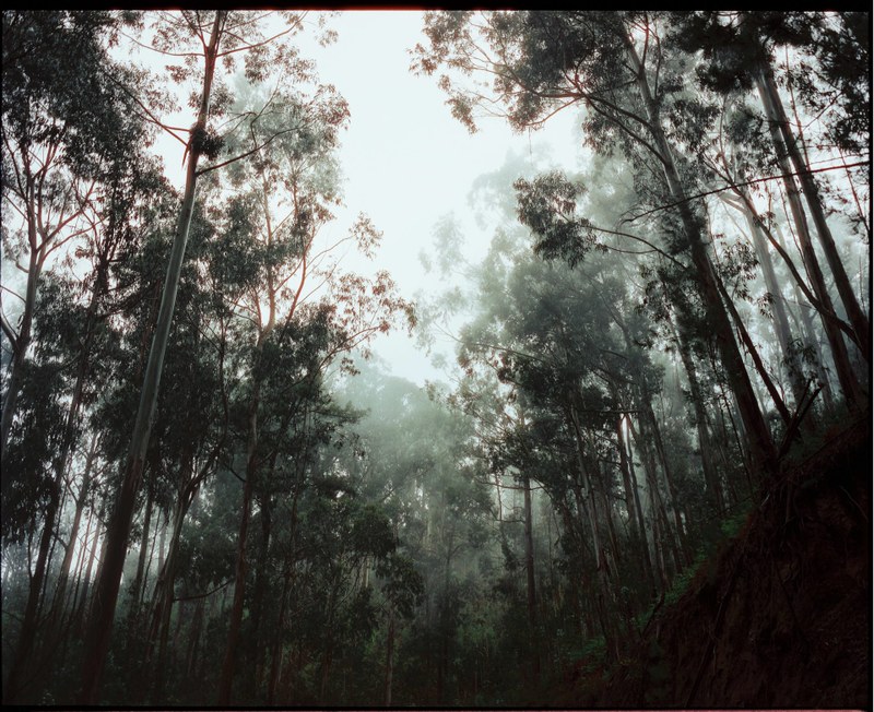 Landscape – 8