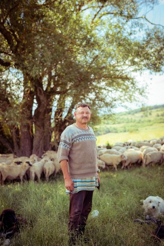 Romania – 29