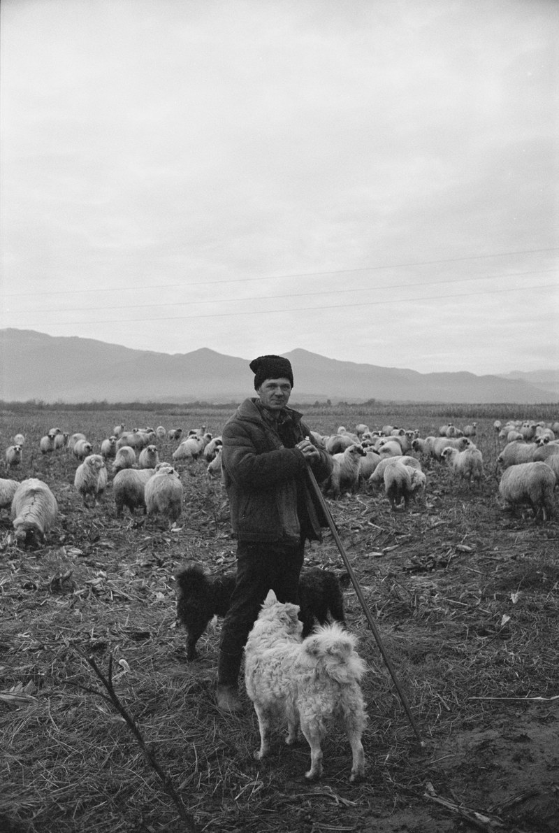 Romania – 2