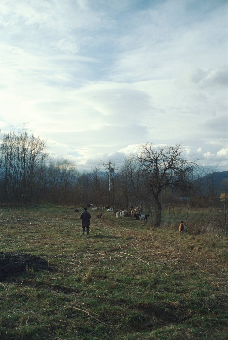 Romania – 18