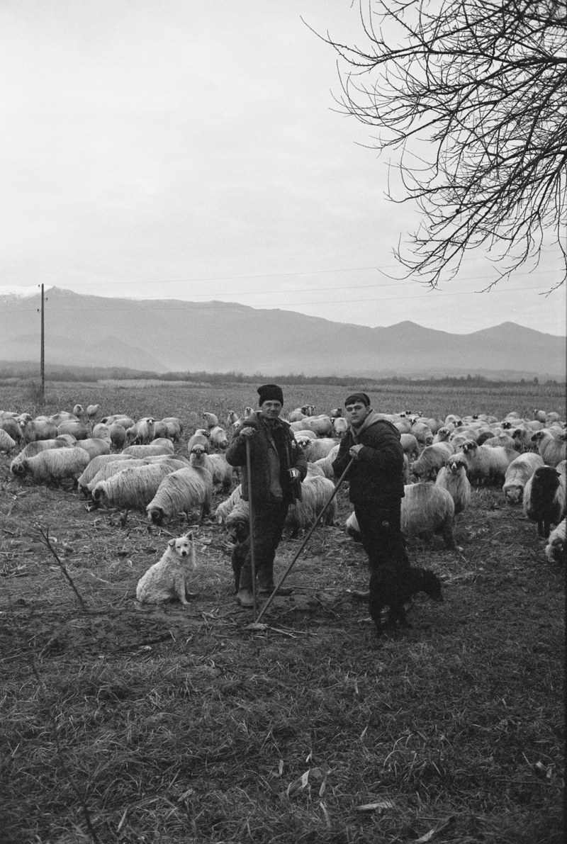 Romania – 37
