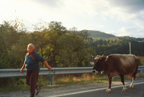 Romania – 25