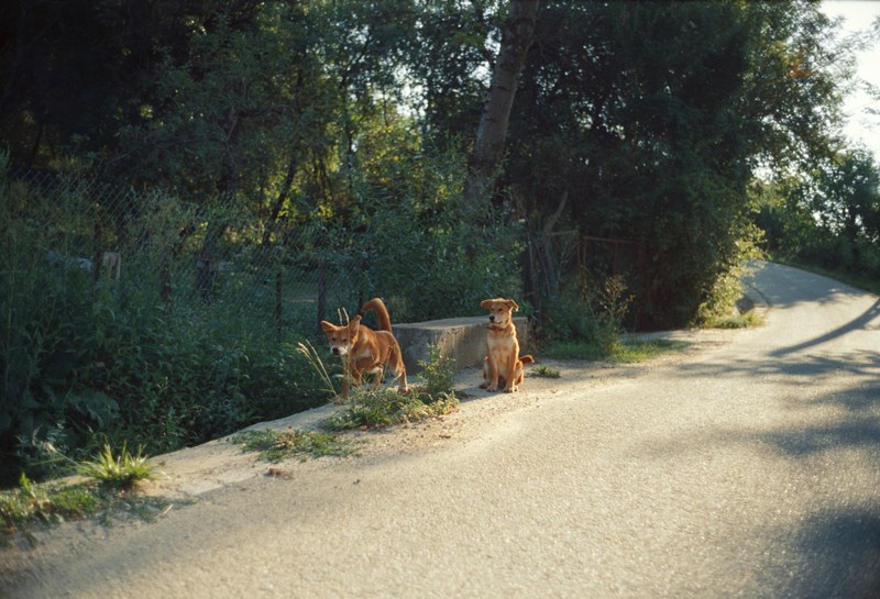 Romania – 26