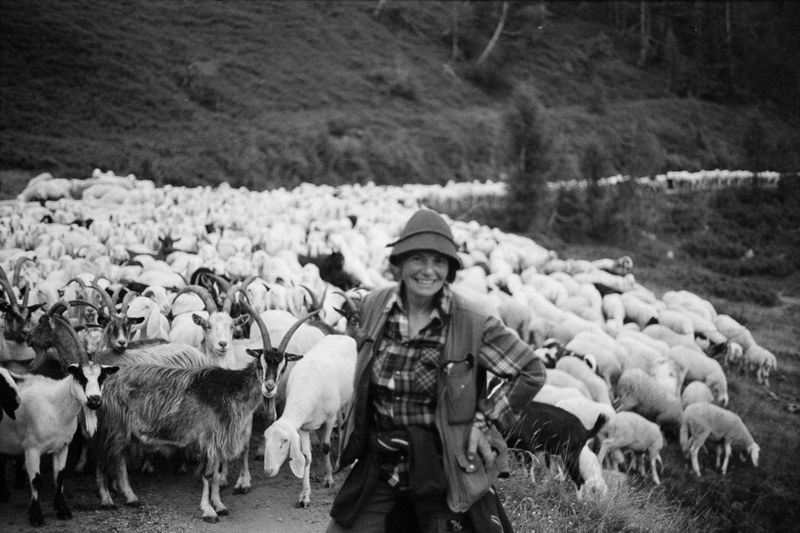 Shepherd – 19