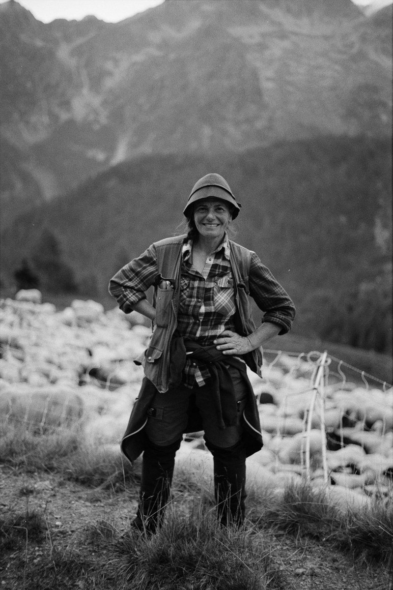 Shepherd – 24