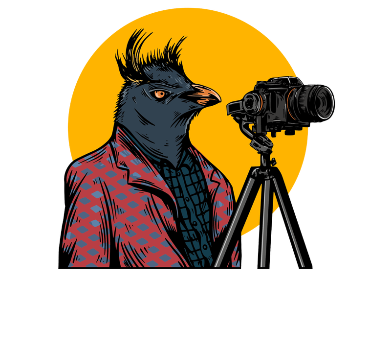 Illustration von Edmund Aut Photography: ein Vogel mit Kamera vor gelber Sonne